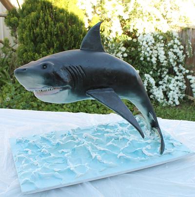 Shark cake - Cake by Kake Krumbs