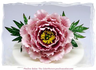 Polly's First Sugar Peony! - Cake by Pauline Soo (Polly) - Pauline Bakes The Cake!
