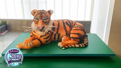 Tiger Cake - Cake by realdealuk