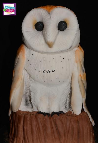 Owl "effraie" - Cake by De la Pâte plein les doigts