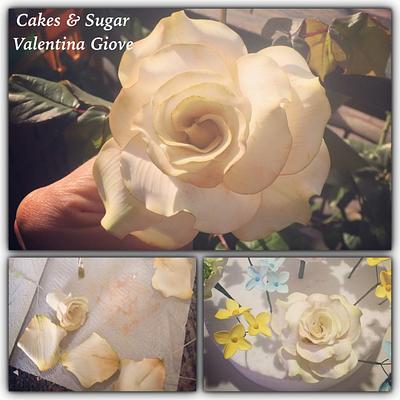 Sugar Rose - Cake by Valentina Giove 