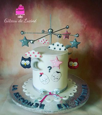 Who is coming ? Answer in january - Cake by Gâteau de Luciné