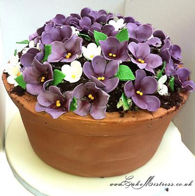 Flower pot - Cake by Nuria Moragrega - Cake Mistress