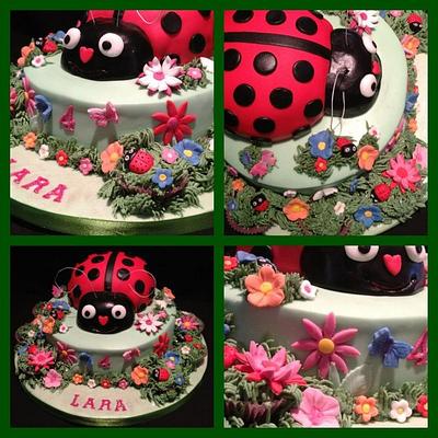 A Happy Ladybug - Cake by Rachael Osborne