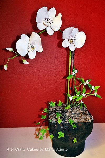 Sugar Phalaenopsis Orchid arragement - Cake by Maria