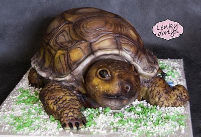 Turtle cake - Cake by Lenkydorty