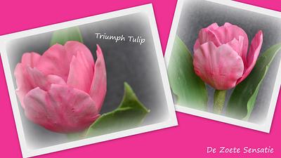 Triumph Tulip - Cake by claudia