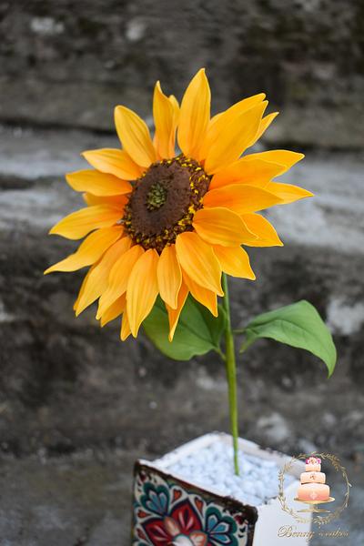 Sunflower - Cake by Benny's cakes