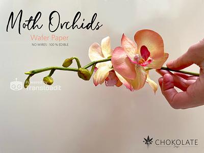 Edible Wafer Paper Flowers | ORCHIDS PHALEANOPSIS MOTHS - Cake by ChokoLate Designs