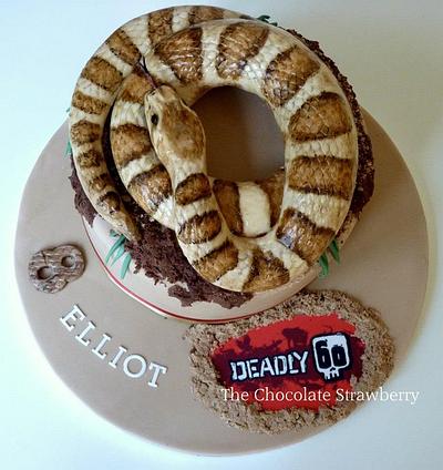 Snake Cake - Cake by Sarah Jones