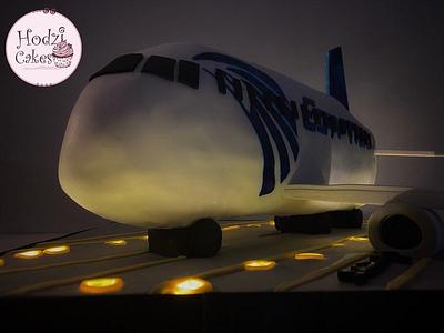 EgyptAir 3D Airplane Cake - Cake by Hend Taha-HODZI CAKES