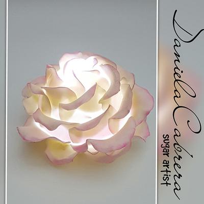 Illuminate your cakes with roses!! - Cake by daniela cabrera 