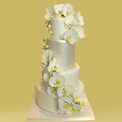 Wedding cake  - Cake by Torteggiando