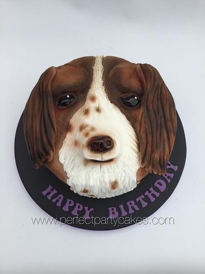 Spaniel dog  - Cake by Perfect Party Cakes (Sharon Ward)