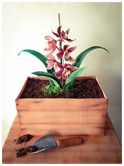 Orchids in a crate - Cake by Homebaker