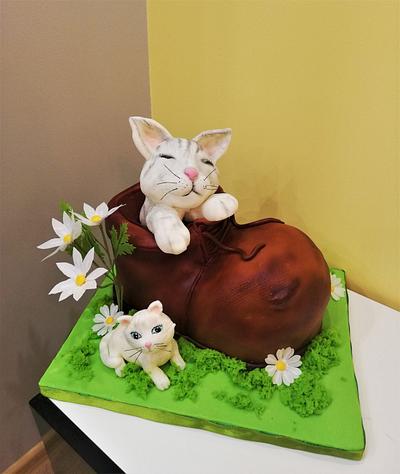 Kittens - Cake by Nora Yoncheva