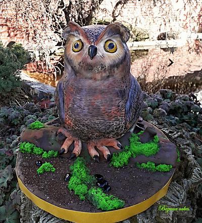 Owl  - Cake by Zuzana Bezakova