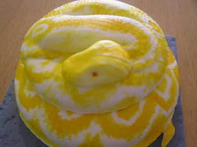 Snake cake - Cake by Barbora Cakes