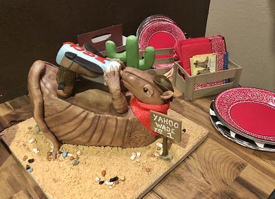 Texas Armadillo First Birthday - Cake by Cakes For Fun