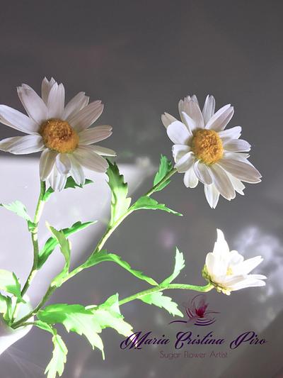 My daisies...Cold porcelain  - Cake by Piro Maria Cristina