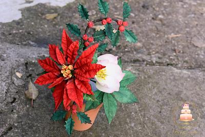 Christmas  flowers - Cake by Benny's cakes