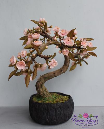 sakura bonsai  japan cake collaboration - Cake by Nesrindinc_sugarflorist 