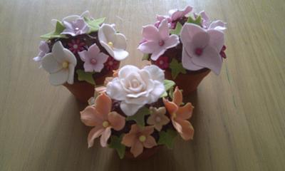 Flowerpot Cupcakes - Cake by Janne Regan