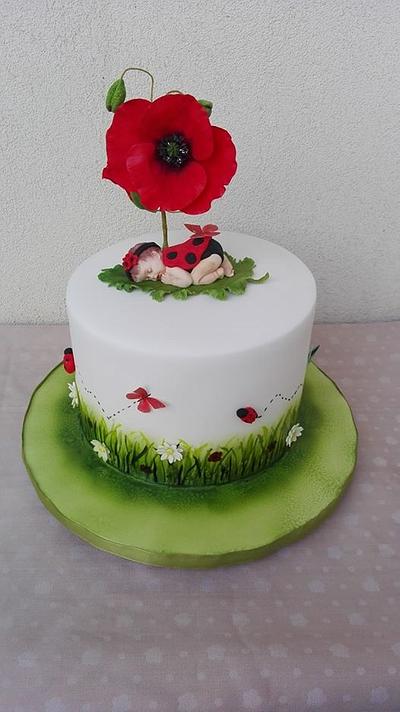 baby ladybird cake - Cake by Geri
