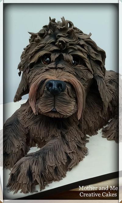 A Chocolate Cockerpoo Cake - Cake by Mother and Me Creative Cakes