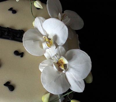 Moth orchids  - Cake by Anka