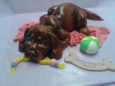 sweet brown Labrador puppy  - Cake by Martina Bikovska 