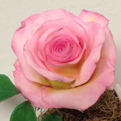 Sugar rose, rosa de azucar - Cake by Simply Sweet Shop