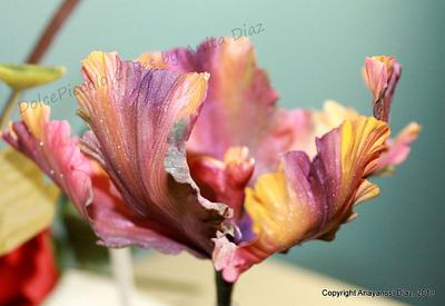 Parrot Tulip - Cake by A. Diaz