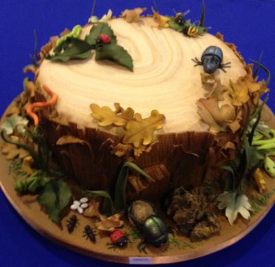 Insects on a Tree Stump - Cake by Cakes by Pat