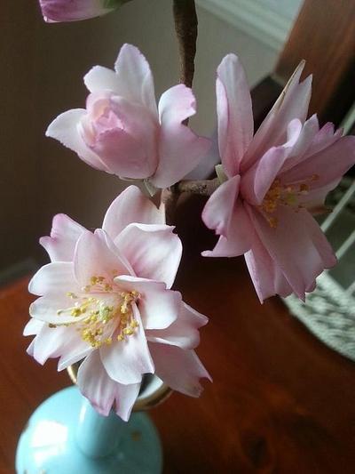 Sugar Cherry blossoms - Cake by La Lavande Sugar Florist