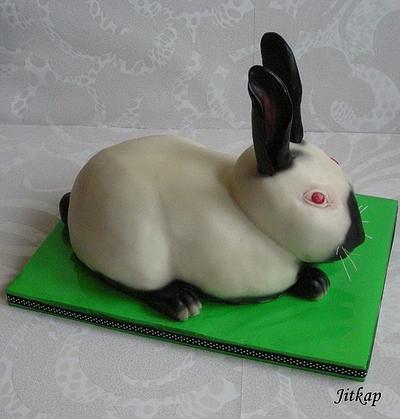 Kalifornský králík - Cake by Jitkap