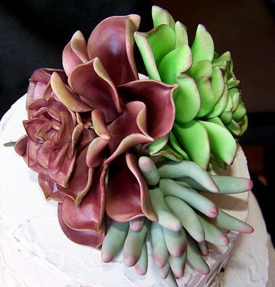 Succulents - Cake by Lorri