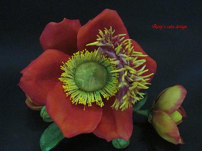 Shivalinga Flowers cannonball - Cake by rosycakedesigner