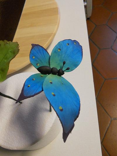 Butterfly sugar paste - Cake by Camilla Rosso
