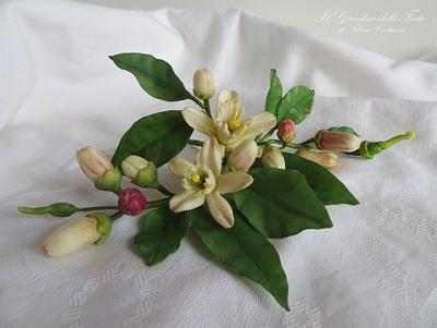 Zagara Flowers, the blossoms of citrus trees - Cake by Silvia Costanzo