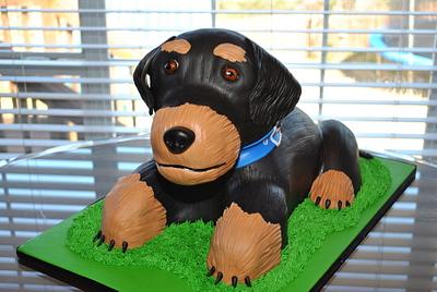 Sculpted Dog Cake - Cake by Hope Crocker