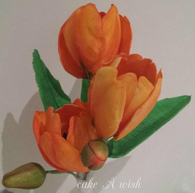 Holland tulip - Cake by pam02