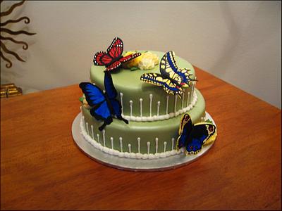 Butterfly Cake - Cake by Tami Chitwood