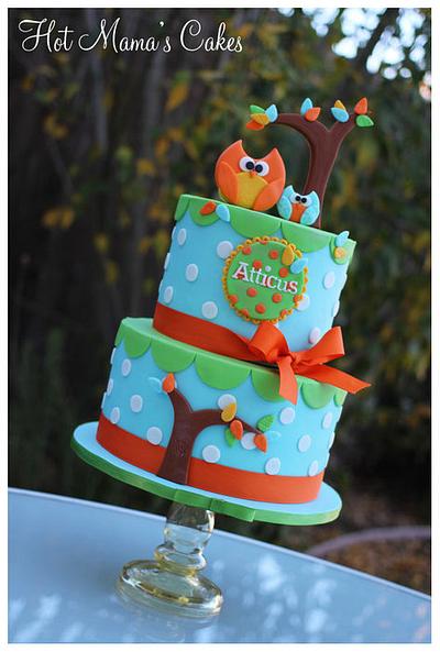Owls for a boy!  - Cake by Hot Mama's Cakes