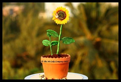 Sunflower plant in a pot - Cake by Visha