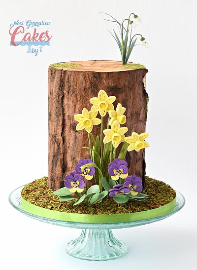 Spring Flowers - Cake by Teresa Davidson