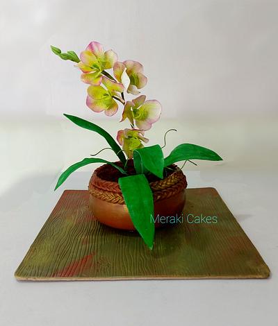 Realistic orchid pot cake - Cake by Priya Tamuli Meraki Cakes