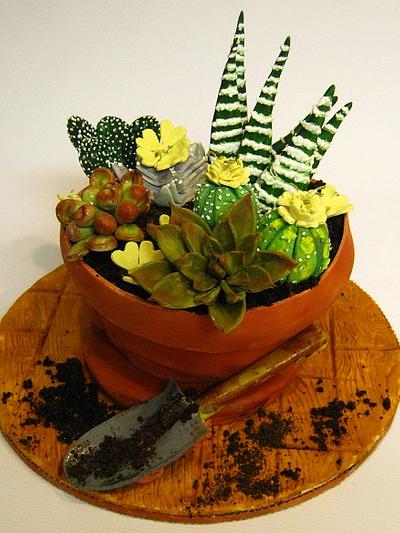 Succulent potted plant cake - Cake by Cakeicer (Shirley)