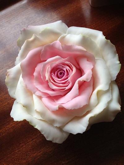Playing with Sugar Pink / white Rose' - Cake by Lisa Templeton