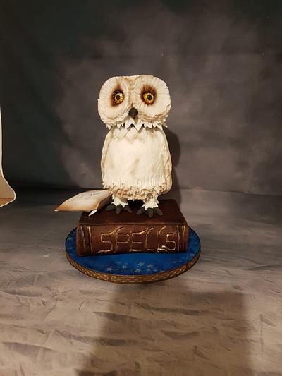Hedwig moving owl cake - Cake by MySugarFairyCakes